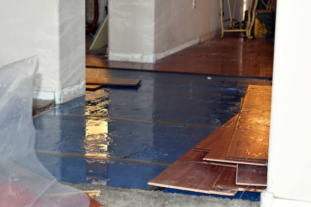 Professional Water Removal technician working in Asher, OK